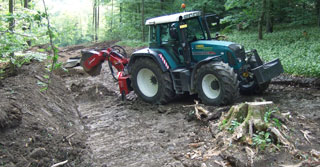 Rodung vor Bau einer Waldstrasse Bild Rodung vor Bau einer Waldstrasse